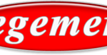 egemeryapi-logo