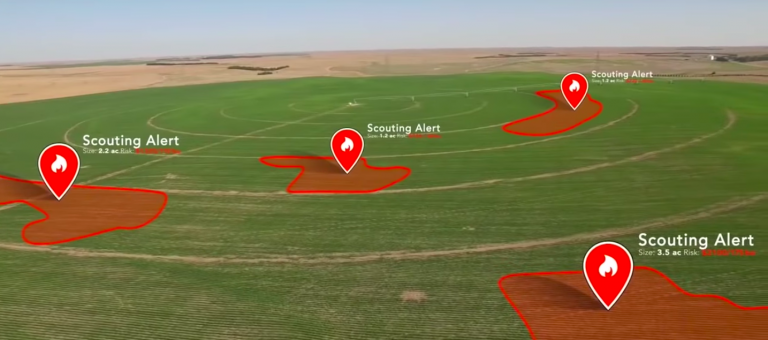 Makine Öğrenimi Çalışmadan Önce Bilinmesi Gerekenler